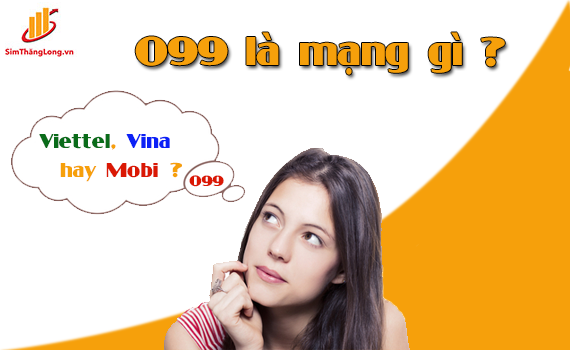 Đầu số 099 là mạng gì?